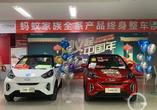 重庆首家 汽车超市 投运 新模式能否提振销量